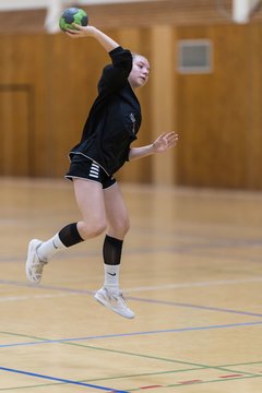 Bild 228 - wBJ TSV Ellerau - HSG Stoertal Hummeln : Ergebnis: 26:19